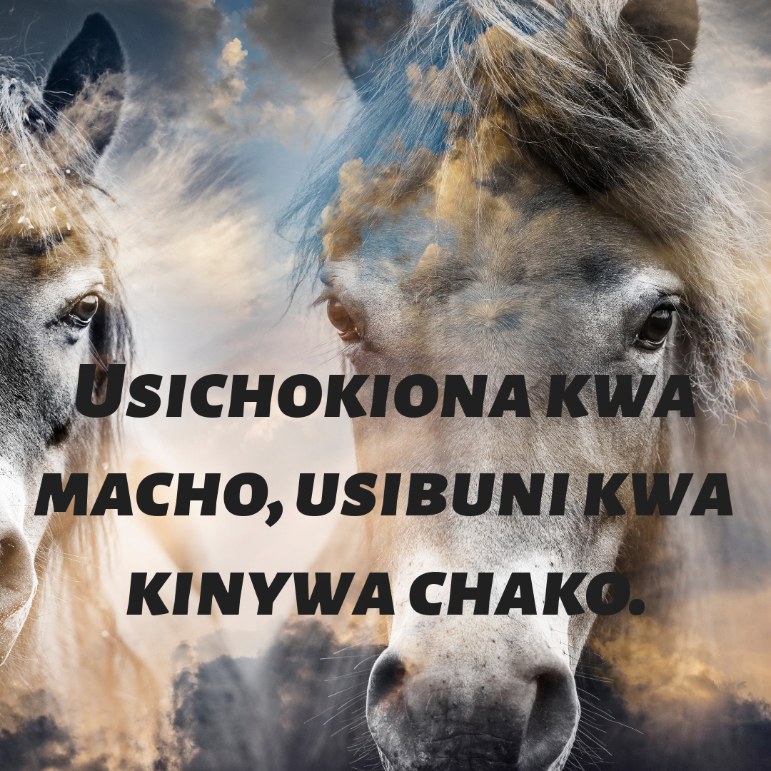 Misemo ya hekima na maarifa - Mhariri