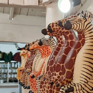 Giraffe Centre Photos