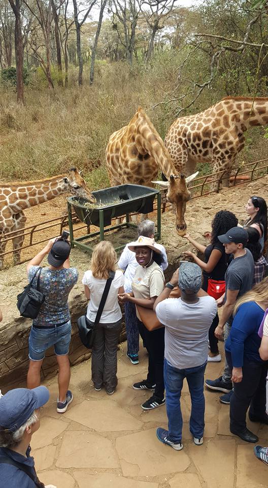 Giraffe Centre Photos