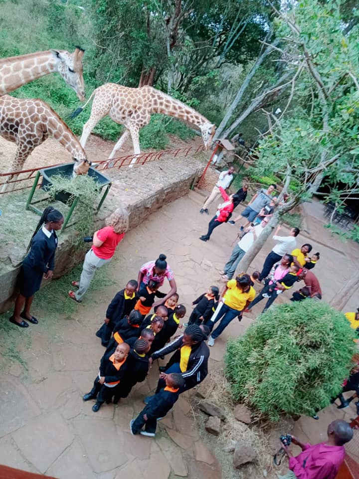 Giraffe Centre Photos