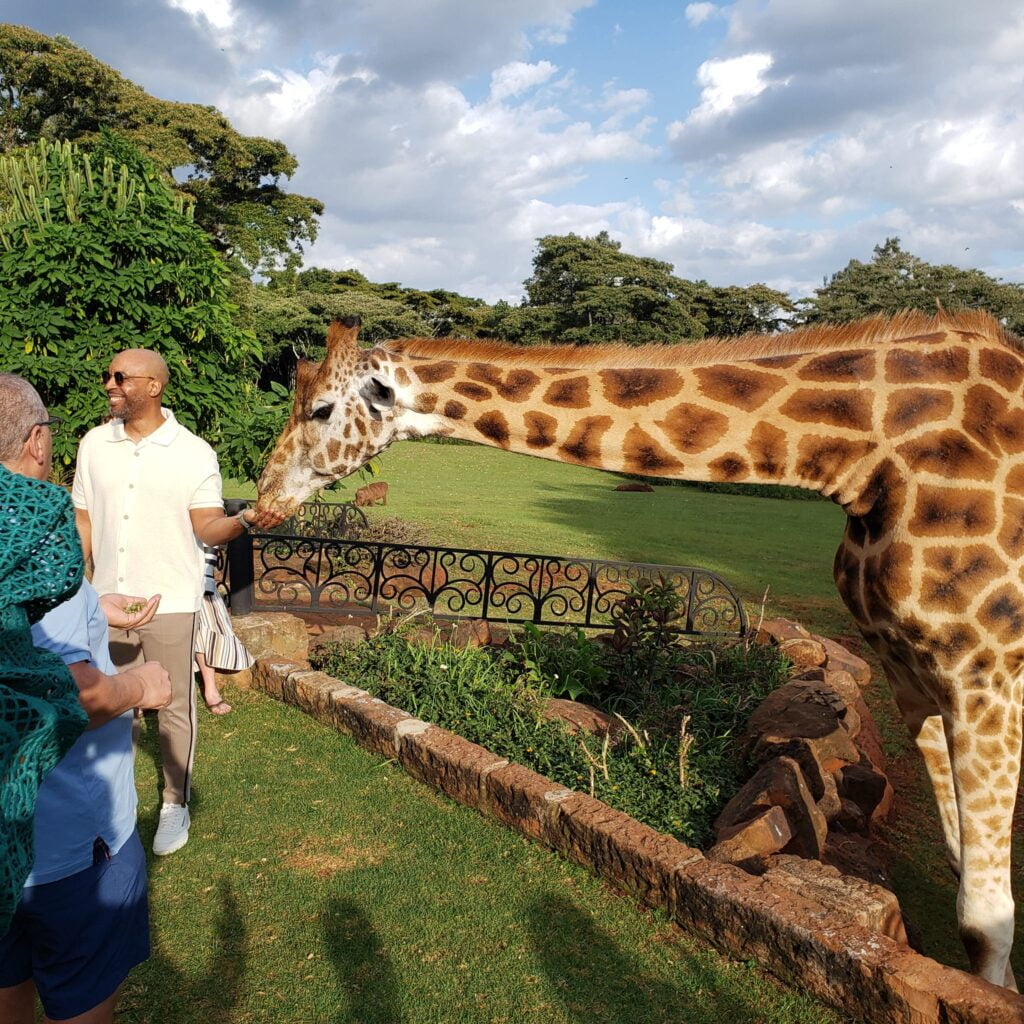 Giraffe Centre Photos