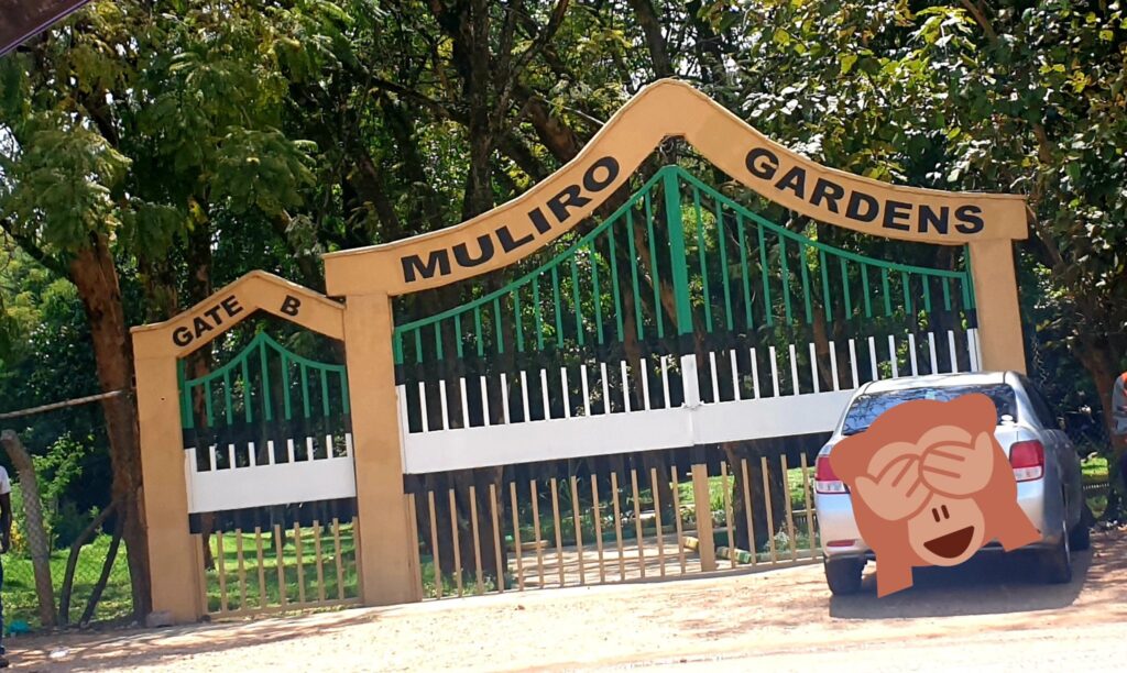 Photos and Images of Muliro Gardens