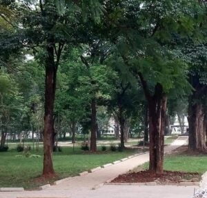 Photos and Images of Muliro Gardens
