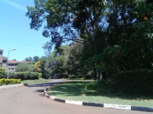 The Kenya High School Photos