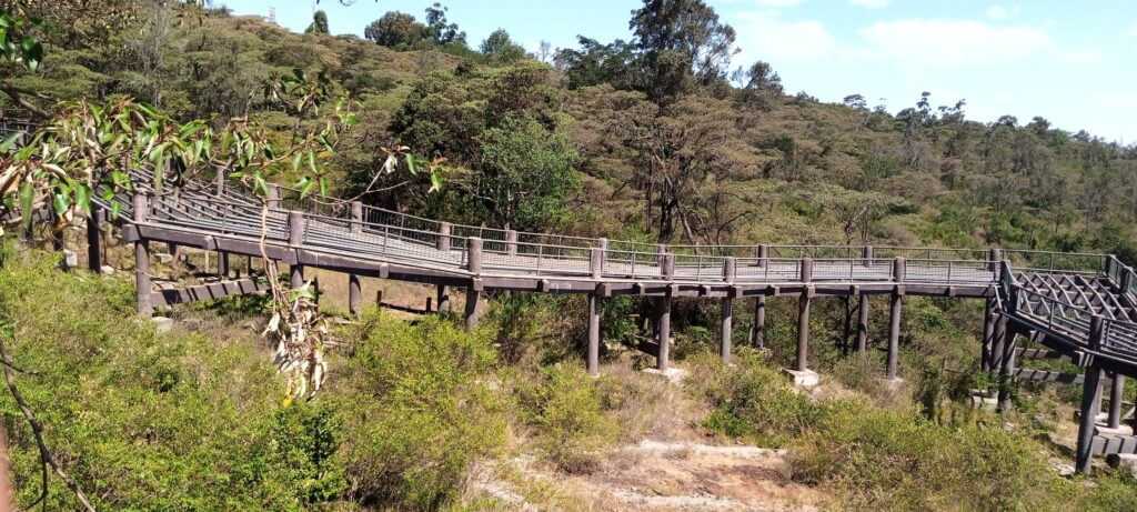 Nairobi Safari Walk Photos