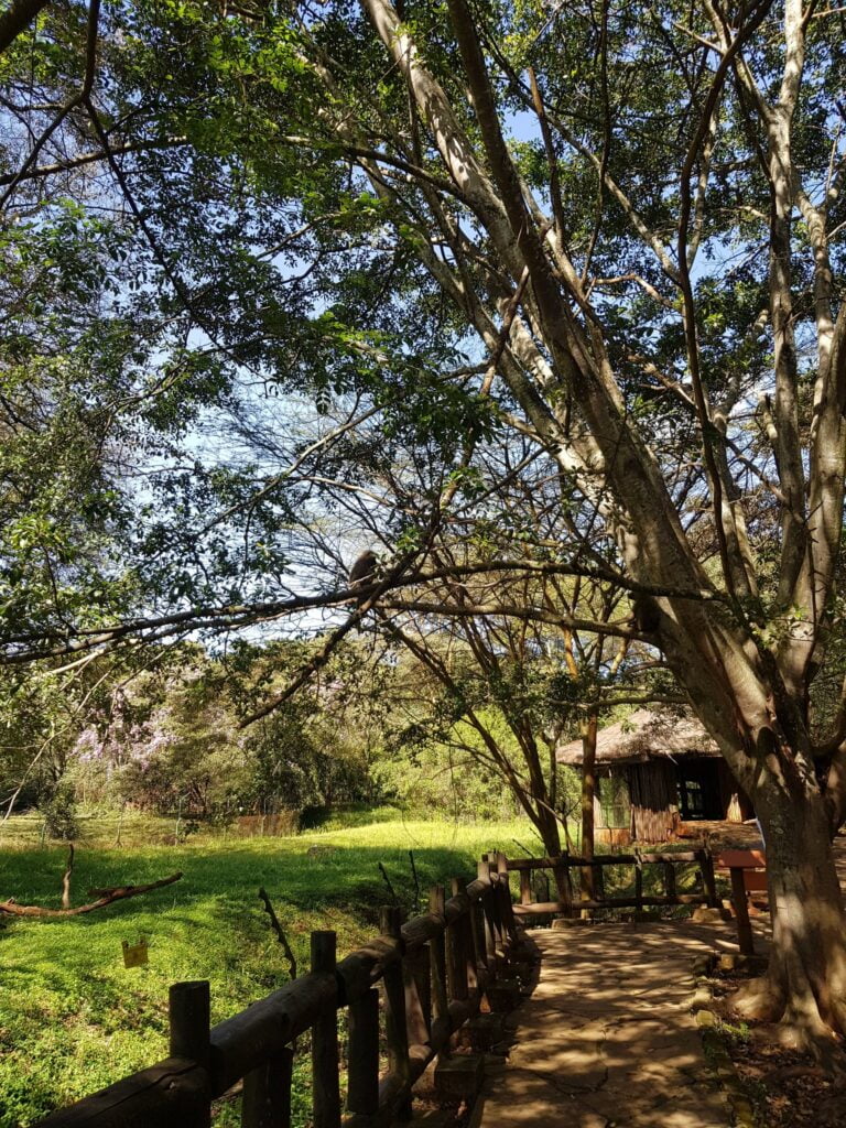 Nairobi Safari Walk Photos