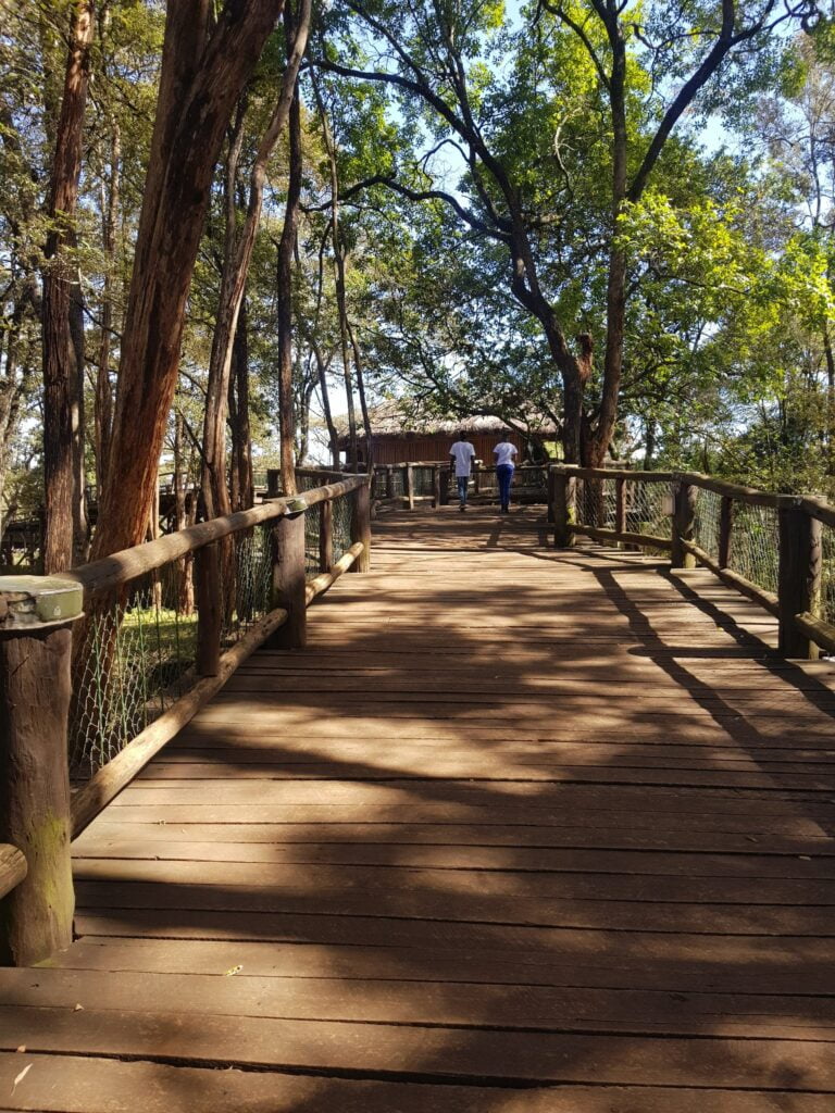 Nairobi Safari Walk Photos