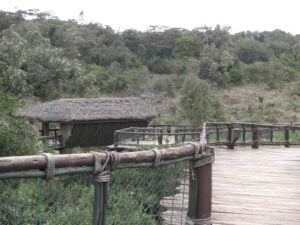 Nairobi Safari Walk Photos