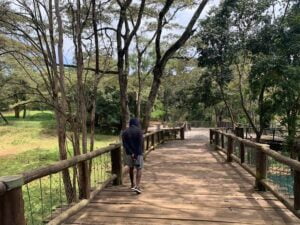 Nairobi Safari Walk Photos