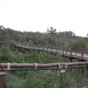 Nairobi Safari Walk Photos
