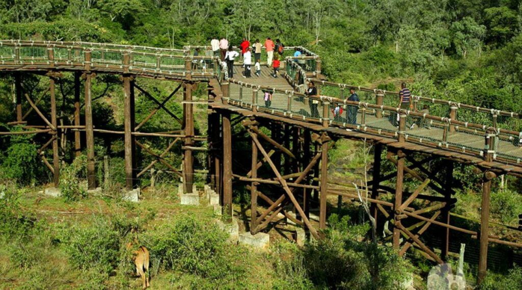 Nairobi Safari Walk Photos