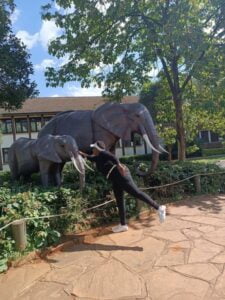 Nairobi Safari Walk Photos